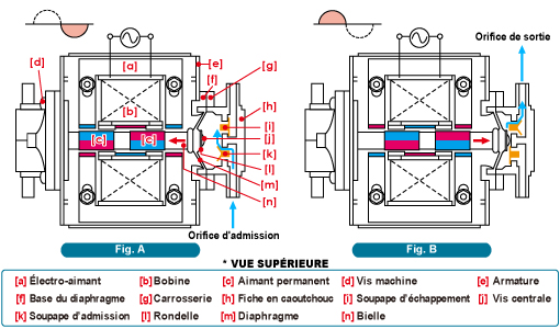 figura:Pompe linéaire